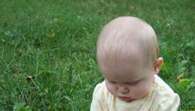 IMG_4392.jpg