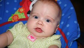 IMG_4401.jpg