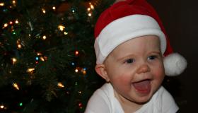IMG_6016.jpg