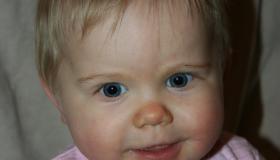 IMG_6650.jpg IMG_6650.jpg