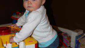 IMG_7203.jpg IMG_7203.jpg